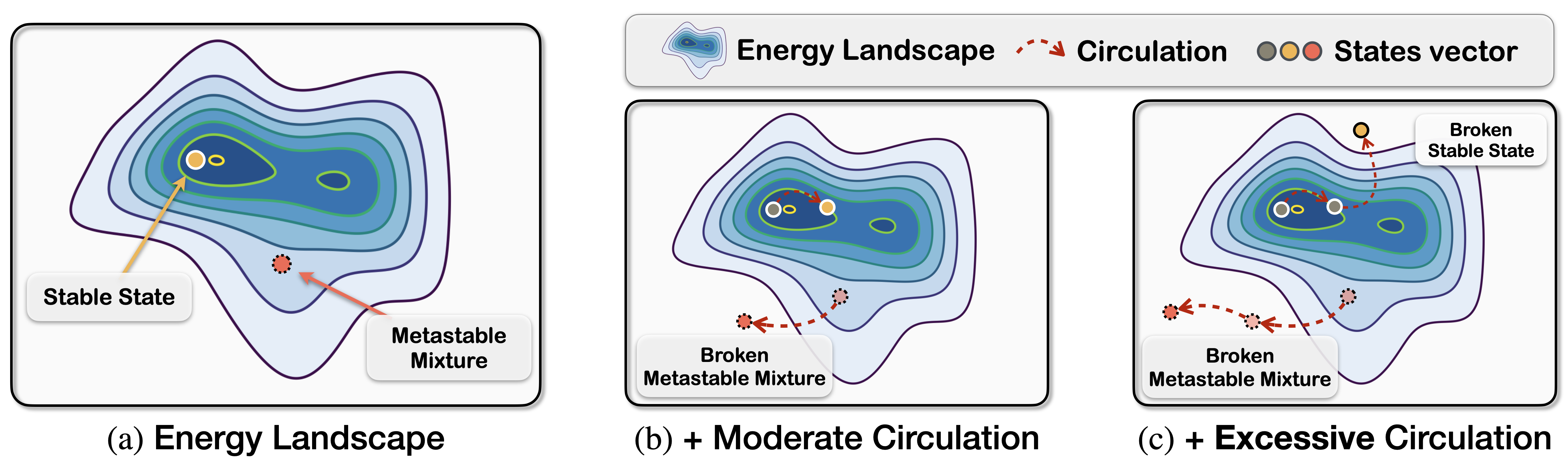 Decomposition of QK^T into symmetric (energy) and skew (circulation) components