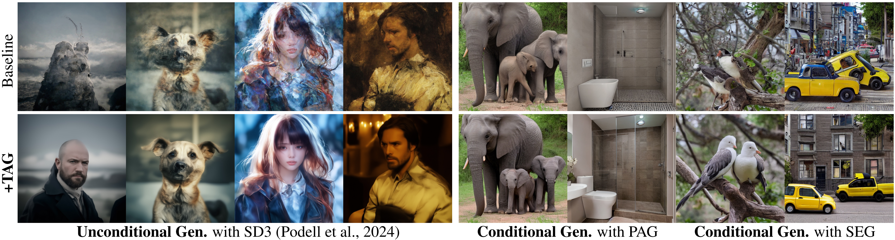 A descriptive text for the image