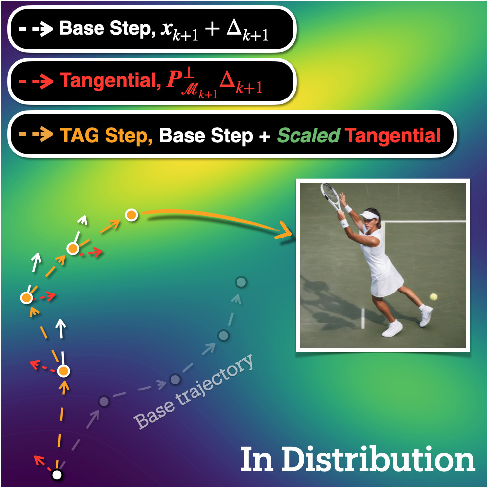 TAG decomposes the update into parallel and tangential parts and amplifies the tangential component.